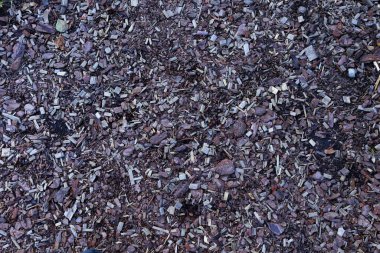 Ezilmiş kozalaklı ağaç kabuğu ve yaprak döken ağaç kabuğu yakın..