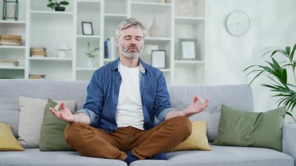 Gammal Gråhårig Skäggig Man Mediterar Lotusposition Med Slutna Ögon Sittande — Stockvideo