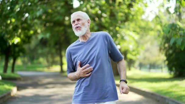 在一个城市公园里 年长的 活泼的 灰白头发的大胡子男子在早晨跑步时感到胃痛 老年男性有胃炎 消化不良 便秘或痉挛 — 图库视频影像