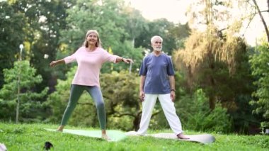 Aktif yaşlı evli çift şehir parkında bir minderin üzerinde dururken jimnastik yapıyor. Yetişkin, kır saçlı, emekli karı ve koca dışarıda yoga yapıyor. Emekliler alıştırma yapıyor