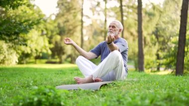Yaşlı, aktif, gri saçlı, sakallı bir adam şehir parkındaki bir paspasın üzerinde çıplak ayakla meditasyon yapıyor. Olgun yaşlı erkek dışarıda yoga yapıyor. Bir emekli gözleri kapalı rahatlar.