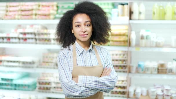 カウンターの後ろに食料品店に立っている幸せなアフリカ系アメリカ人の女性小企業オーナーの肖像画 カメラを見ている女性マネージャー エプロンのフレンドリーな管理者食品市場の労働者 — ストック動画