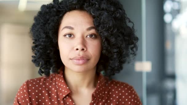 靠近点一个年轻自信的非洲裔美国女雇员在商业办公室的肖像 严肃的黑人女人摆姿势看着屋里的摄像机 成功的经理或代理人的头像 — 图库视频影像