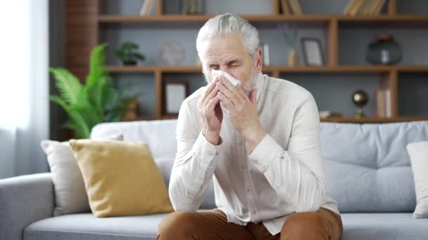 Idosos Cabelos Grisalhos Seniores Com Uma Alergia Espirra Sentado Sofá — Vídeo de Stock