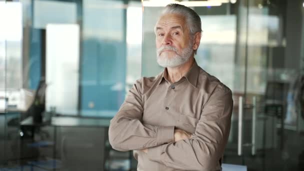 ビジネスオフィスの交差した腕と立っている深刻な灰色のひげ付きビジネスマンの肖像画 ハンサムオーナーのカメラヘッドショットを見て 成功した高齢者起業家の自信 — ストック動画