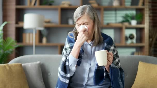 生病的老年女性裹在毛毯里 坐在客厅的沙发上流鼻涕 这位心烦意乱的老妇人用手帕擦拭鼻子 并喝了一杯热饮 — 图库视频影像