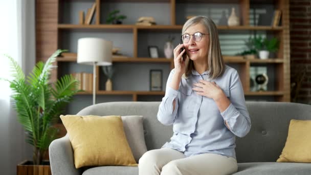 Senior Mujer Pelo Gris Hablando Por Teléfono Mientras Está Sentado — Vídeos de Stock