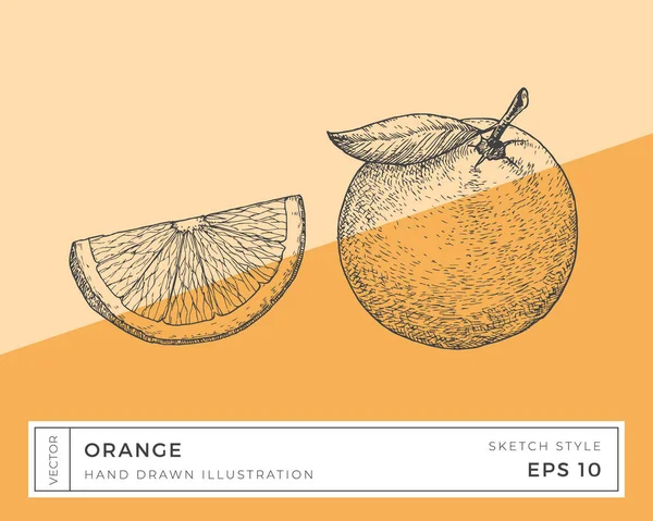 Ilustración Frutas Cítricas Naranja Vectorial Dibujado Mano Vegano Dibujo Alimentos — Vector de stock