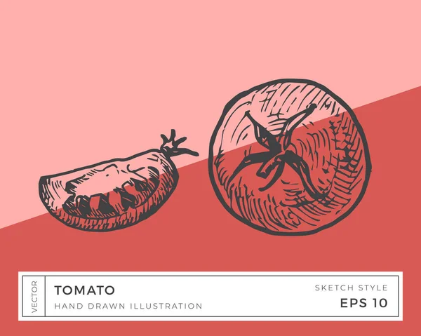 手描きベクトルトマト野菜イラスト カラフルな背景を持つビーガンベースの食品図面 — ストックベクタ