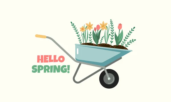 Spring Home Gardening Illustration Vector Colorful Tulip Narcissus Flowers Wheelbarrow — Stock Vector