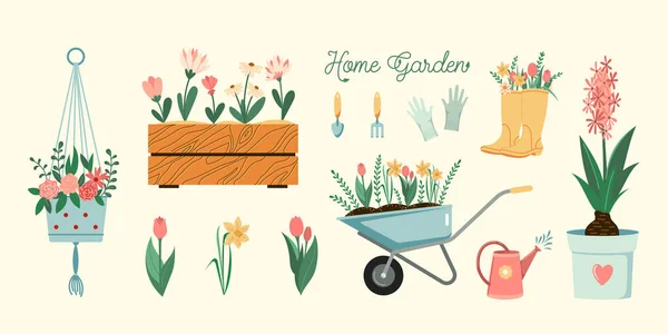 Hobbygärtner Illustrationen Eingestellt Vektorpflanzen Blumen Und Gartengeräte Frühjahr Saisonal Flache — Stockvektor
