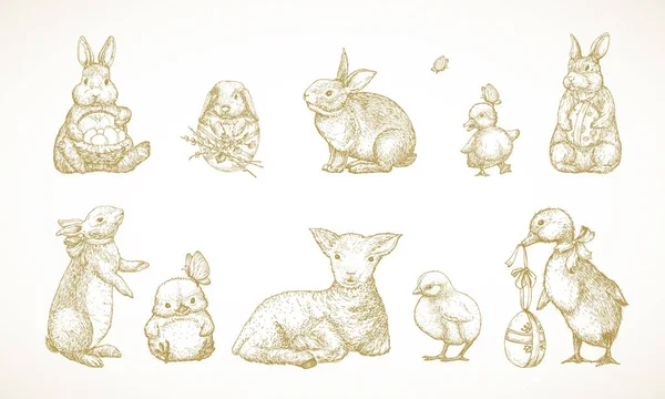 Hand Drawn Cute Easter Animalsvector Illustrations Set Little Rabbits Ducks — Stock Vector