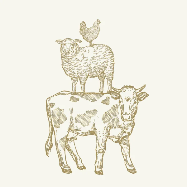 드래프트 Hand Drawn Engraving 스타일 Cow Sheep Chicken Sillhouettes 피라미드처럼 — 스톡 벡터