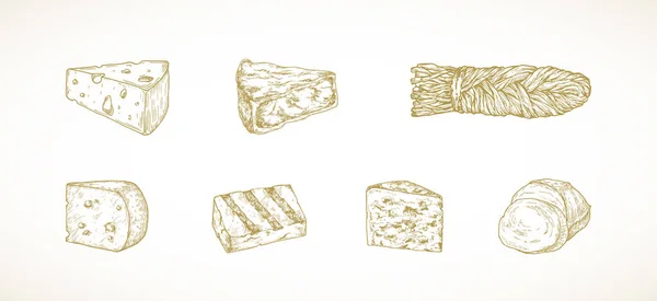 Набор Сырных Кусочков Ручной Работы Гравировка Стиль Roquefort Gouda Haloumi — стоковый вектор