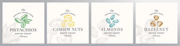 Nuts Logo Vorlagen Set Vorhanden Handgezeichnete Mandeln Pistazien Cashew Und — Stockvektor