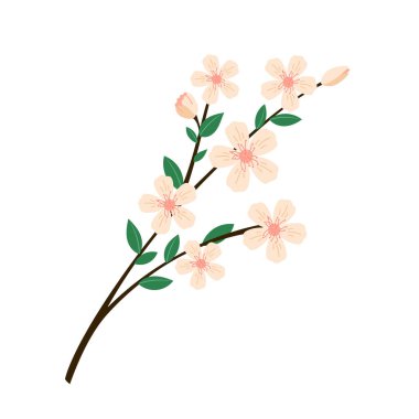 Çiçek açan ağaç dalı yay vektör çizimi. Yeşil yapraklar ve pembe çiçekler mevsimlik düz çizim. İzole edilmiş