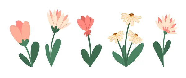 Bloeiende Bloemen Voorjaar Vector Illustraties Collectie Groene Bladeren Bloemen Bloeien — Stockvector