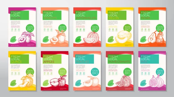 Fresh Local Fruits Label Templates Collection Abstract Vector Packaging Design — Stock Vector