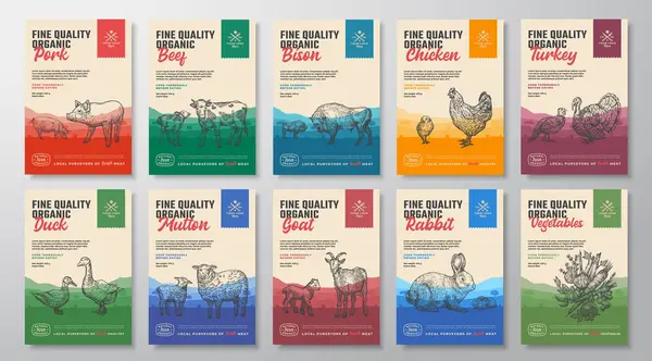 Feine Qualität Organic Vector Fleisch Packaging Vertical Label Design Collection — Stockvektor