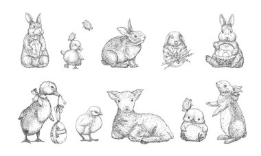 El Çizimi Şirin Bahar Hayvanları Vektör İllüzyonları Seti. Küçük Tavşan, Tavşan, Ördek Tavuk ve Kuzu Kurdele ve Yumurta Çizimleri Koleksiyonu. Tatil İşleme Biçimi Çizimleri. İzole edilmiş