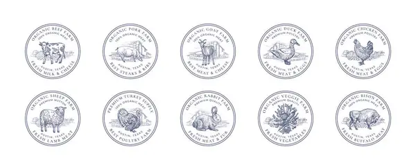 Farm Meat Poultry Frame Retro Badges Logo Templates Set Animais — Vetor de Stock