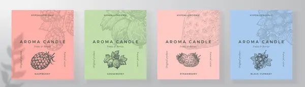 Conjunto Plantillas Diseño Etiqueta Vela Aroma Aroma Ambientador Producto Etiqueta Gráficos Vectoriales