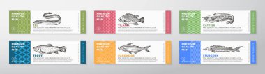Fish Seafood Vector Packaging Label Design Collection Modern Typography and Hand Drawn Eel Drawn Eel, Trout, Catfish, Pangasius, Sturgeon and Tilapia Product Product Arkaplan Set. İzole edilmiş