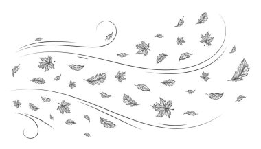 Autumn Leaves Outline Sketch Soğuk Rüzgar Tarafından Esiliyor. El yapımı meşe ve akçaağaç yaprağı rüzgarlı havada taşınır. Vector Line Doodle Çizimi. İzole edilmiş