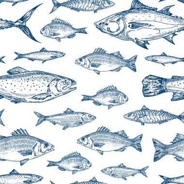 El Çekimi Balık Vektörü Kusursuz Desenli Arkaplan. Ocean Tuna, Somon, Uskumru, Ançüez, Dorado ve Ringa Kartı Mavi Renkli Duvar Kağıdı Şablonu 'nda Deniz Ürünleri Kapağı Şablonu. İzole edilmiş