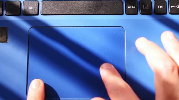Primo Piano Mani Che Lavorano Computer Portatile Moderno Azzurro — Video Stock