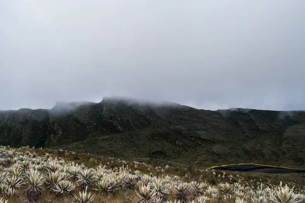 Rocky Paramo Landscape Fog Lake Cloudy Day — 图库照片