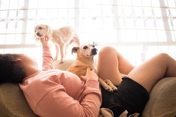 Woman lying down on sofa and petting dogs at home