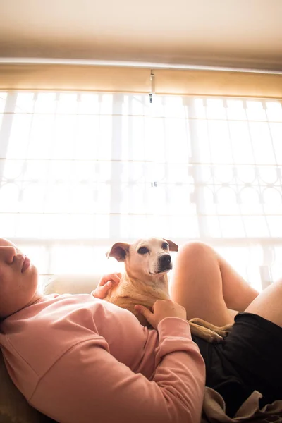 Woman Lying Sofa Petting Dogs Home — Stock Photo, Image