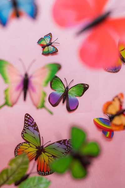 Vue Dessus Quelques Papillons Colorés Sur Fond Rose — Photo