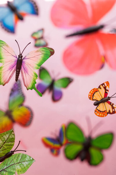 Vue Dessus Quelques Papillons Colorés Sur Fond Rose — Photo