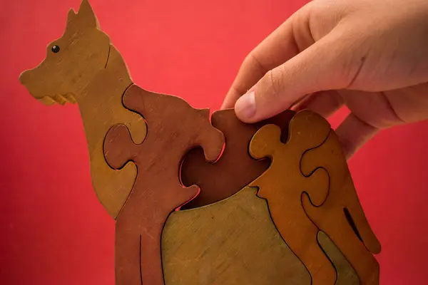Wooden vintage dog puzzle on red background