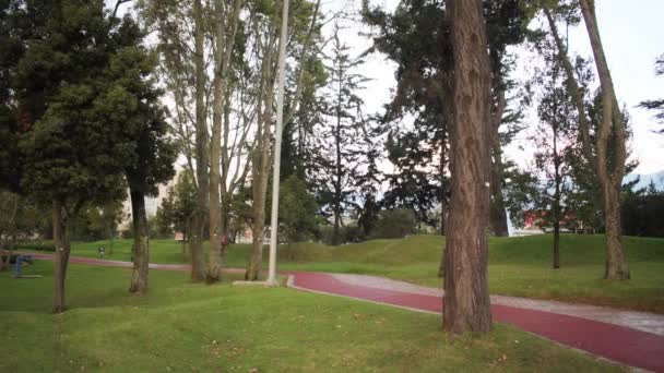 Homme Portant Une Casquette Rouge Courant Dans Parc Coucher Soleil — Video