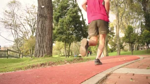 Uomo Col Berretto Rosso Che Corre Nel Parco Tramonto — Video Stock