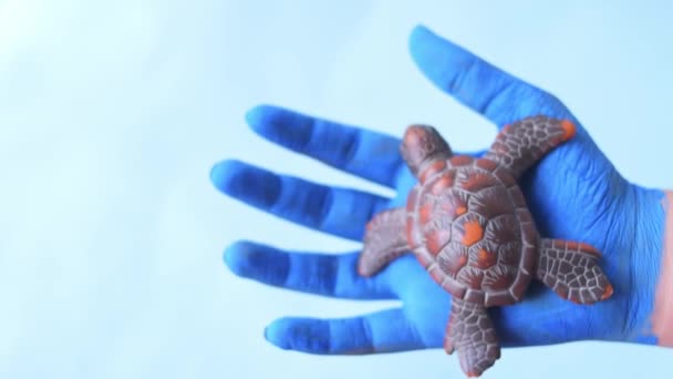 Mãos Pintadas Azul Segurando Tartaruga Marinha Com Fundo Azul Espaço — Vídeo de Stock