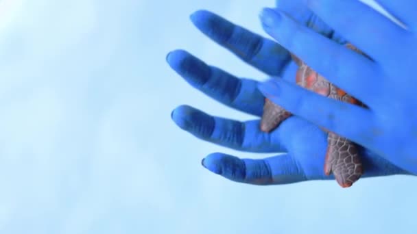 Modré Natřené Ruce Drží Mořské Želvy Modrým Pozadím Kopírovat Prostor — Stock video