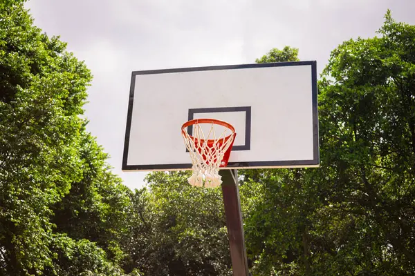 Low view of basketball backboard in green park