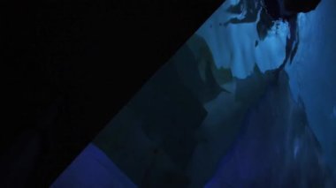 Havuzdan çıkan kadının dikey videosu. Geceleri mavi ışıkla aydınlatılıyor.