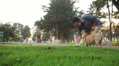 Genç adam parkta köpek tasması takıp kakalarını toplayan iki küçük köpeği gezdiriyor.