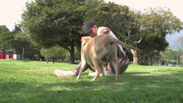 Νεαρός Που Βγάζει Βόλτα Δυο Σκυλάκια Λουρί Σκύλου — Αρχείο Βίντεο