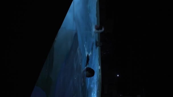Geceleri Otelin Işıklarıyla Havuzda Yüzen Insanların Dikey Videosu — Stok video