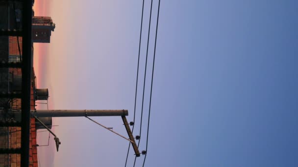 ボゴタ市の日没の電気塔でテラスから見下ろすピンクのセーターを着ている女性の垂直ビデオ — ストック動画