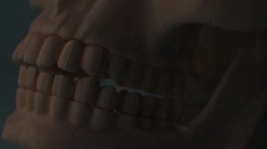 Cadılar bayramında karanlık kafatası aydınlatmaya yakın