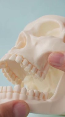 Mavi arkaplanda beyaz kafatası çenesi açan elleri kapat