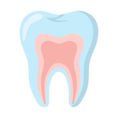 Cross-sectional tooth illustration showing enamel, dentin, and pulp layers in stylized colors. Isolated on dark background, ideal for dental anatomy, oral health, and educational stock content