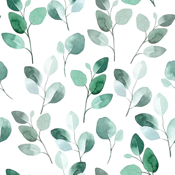 Bezszwowy Wzór Akwareli Liśćmi Eukaliptusa Zielone Liście Eukaliptusa Tropikalnego Białym — Zdjęcie stockowe